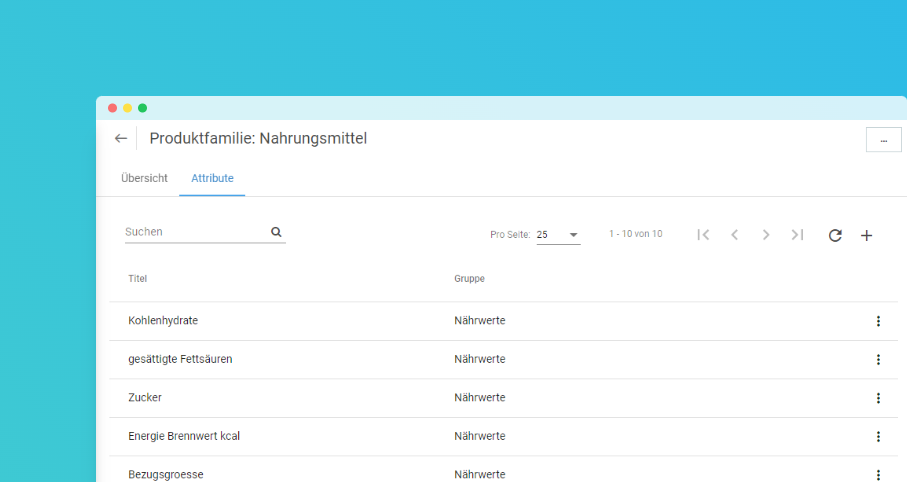 Übersicht einer Produktfamilie mit zugeordneten Attributen